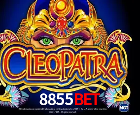 A Experiência Imersiva dos Cassinos Ao Vivo no 8855bet
